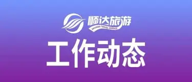 湖北顺达旅游集团召开2026年上半年工作总结大会