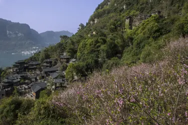 宜昌三峡人家一日游攻略:船进与车进路线、行程时间与预约订票指南